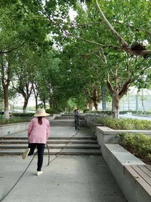 细致呵护 绿意校园——暑期绿化养护服务工作纪实