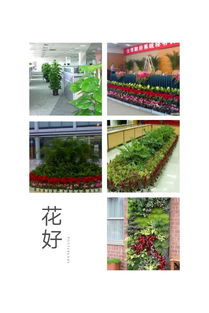 南充绿植租赁绿化养护 南充植物租摆价格
